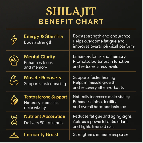 Pure Shilajit - Gilgit Salajeet